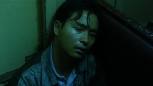 Ng&agrave;y 1/4 năm n&agrave;o, c&oacute; lo&agrave;i chim kh&ocirc;ng ch&acirc;n Trương Quốc Vinh vỗ c&aacute;nh bay về tự do- Ảnh 5.