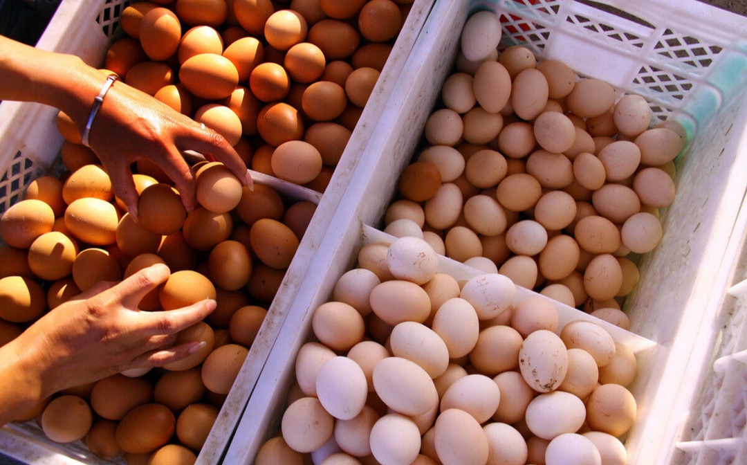 Loại quả vua C&agrave;n Long ưa th&iacute;ch: Mỗi ng&agrave;y ăn 1 quả mang "ng&agrave;n v&agrave;ng" lợi &iacute;ch sức khỏe, nh&agrave; ngh&egrave;o hay gi&agrave;u đều c&oacute; thể mua- Ảnh 4.