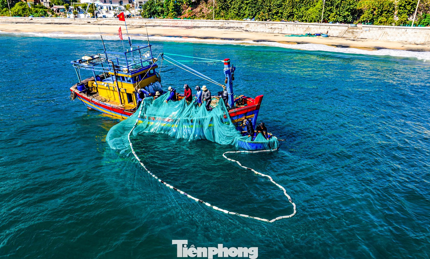 C&oacute; g&igrave; ở Nhơn L&yacute; - nơi được đề xuất x&acirc;y dựng cảng c&aacute; kết hợp du lịch?- Ảnh 14.