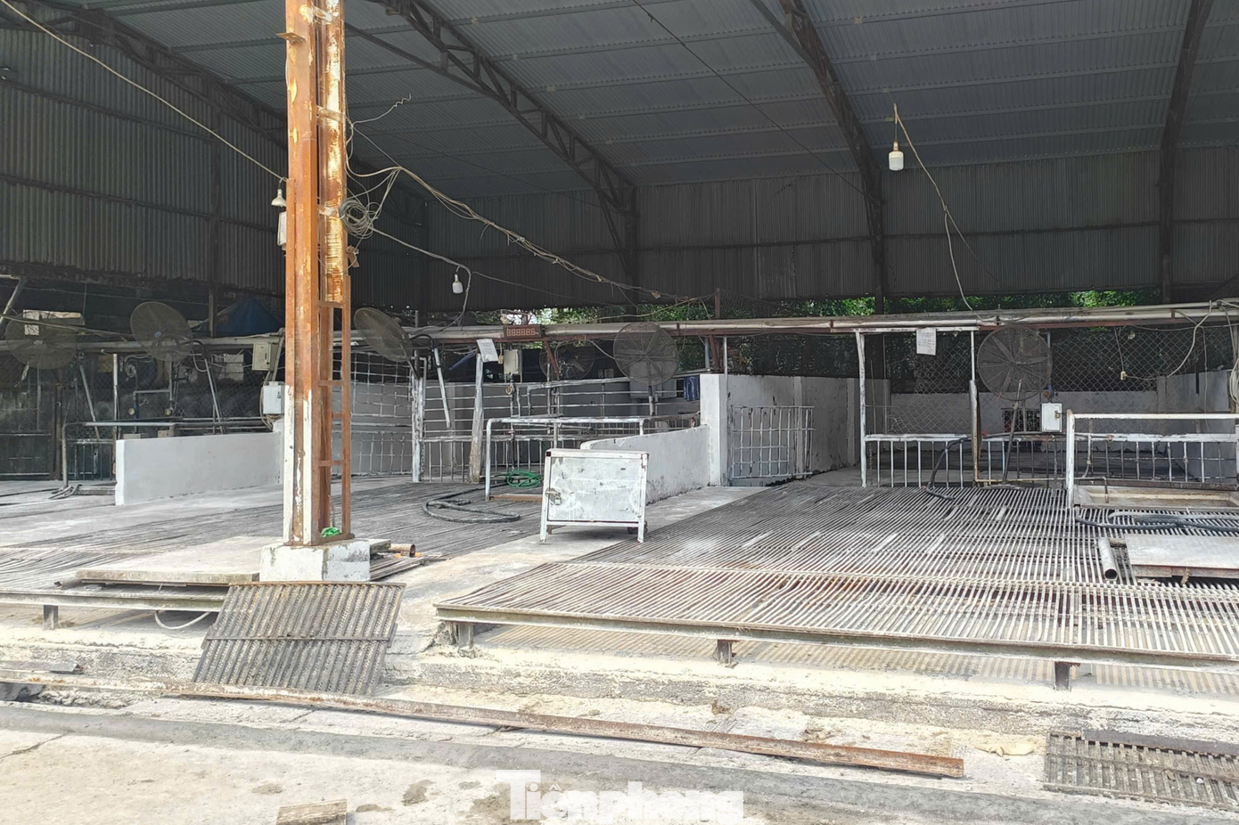 Vụ ti&ecirc;u thụ gần 300 tấn lợn bệnh ở H&agrave; Nội: Thu giữ cuốn sổ ghi ch&eacute;p việc ăn chia tiền "l&agrave;m luật"- Ảnh 2.