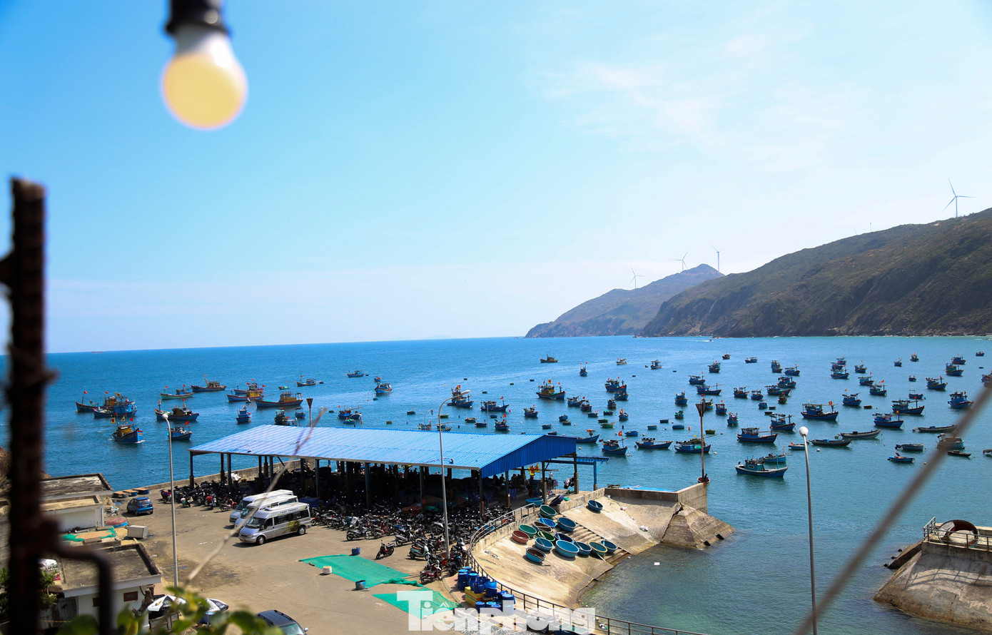 C&oacute; g&igrave; ở Nhơn L&yacute; - nơi được đề xuất x&acirc;y dựng cảng c&aacute; kết hợp du lịch?- Ảnh 2.