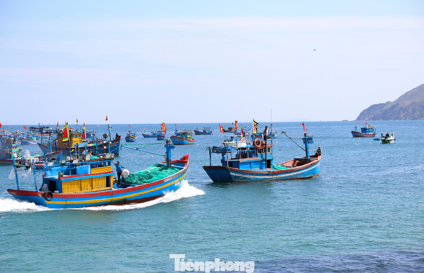 C&oacute; g&igrave; ở Nhơn L&yacute; - nơi được đề xuất x&acirc;y dựng cảng c&aacute; kết hợp du lịch?- Ảnh 3.