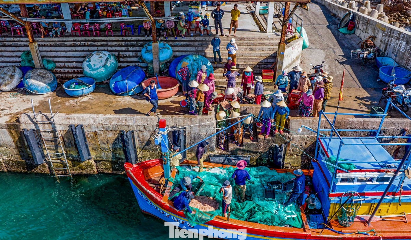 C&oacute; g&igrave; ở Nhơn L&yacute; - nơi được đề xuất x&acirc;y dựng cảng c&aacute; kết hợp du lịch?- Ảnh 1.