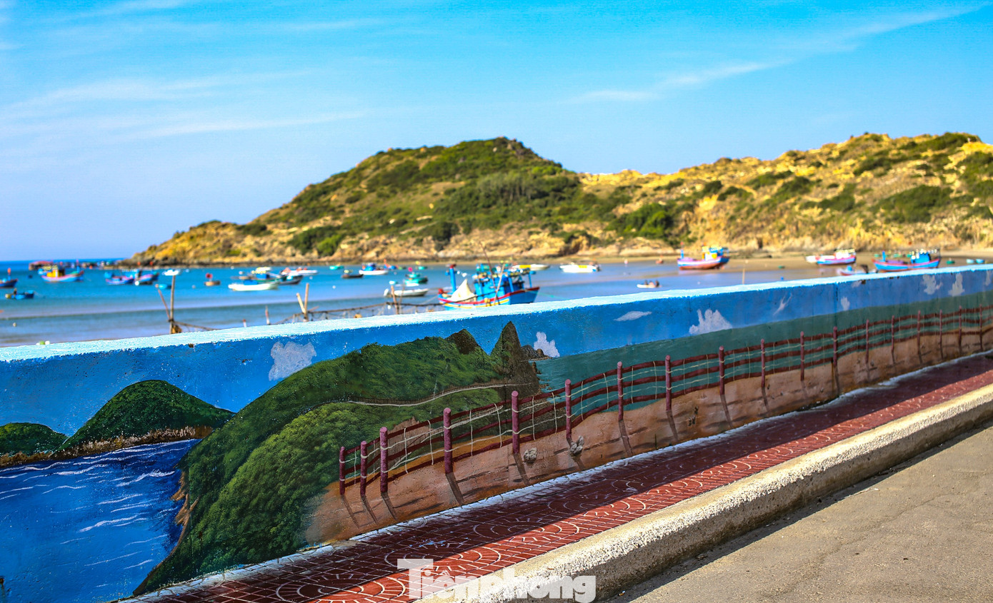C&oacute; g&igrave; ở Nhơn L&yacute; - nơi được đề xuất x&acirc;y dựng cảng c&aacute; kết hợp du lịch?- Ảnh 11.