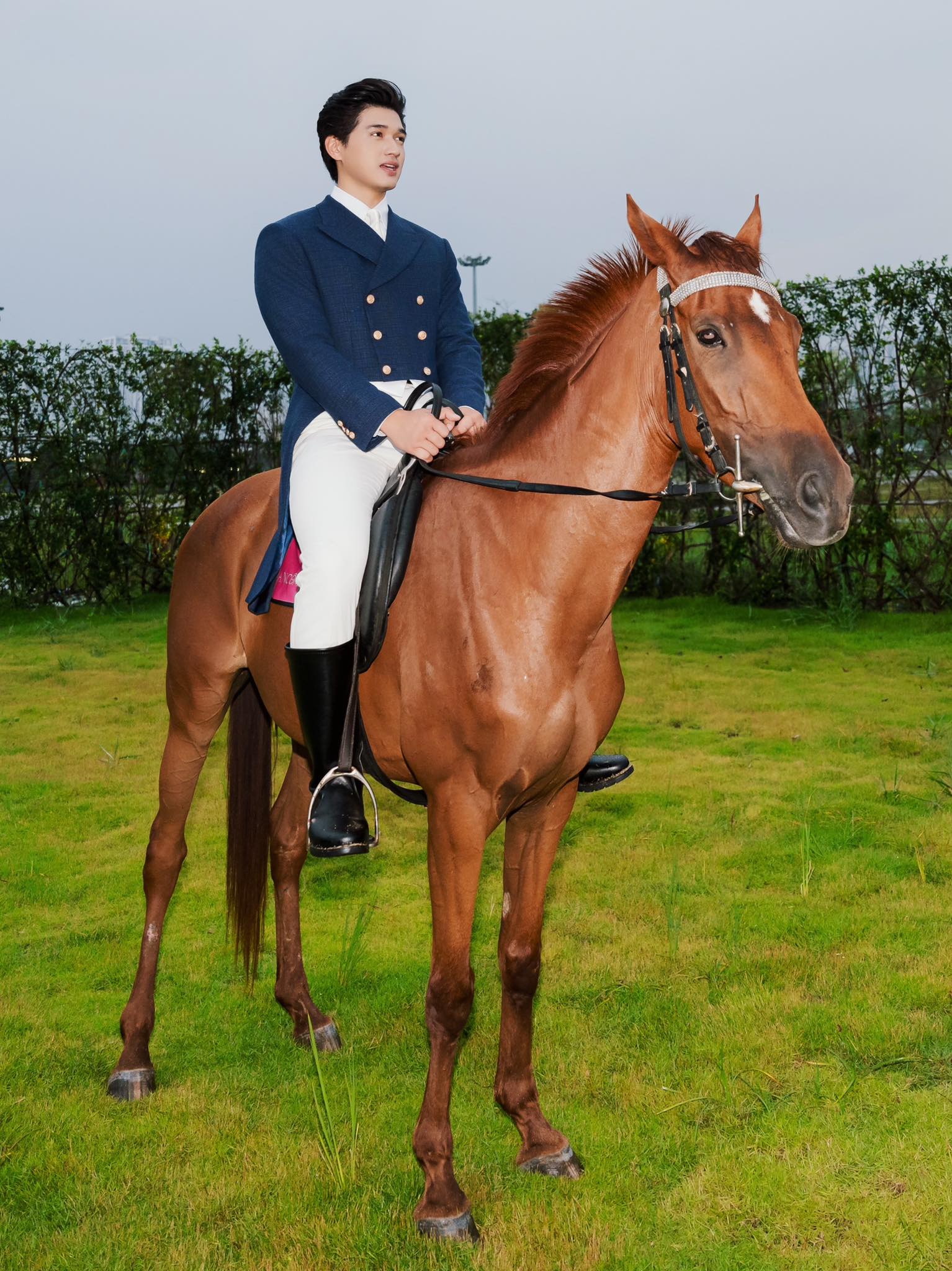 Tăng Thanh H&agrave; c&agrave;ng l&agrave;m c&agrave;ng lộ b&iacute; mật n&agrave;y- Ảnh 5.