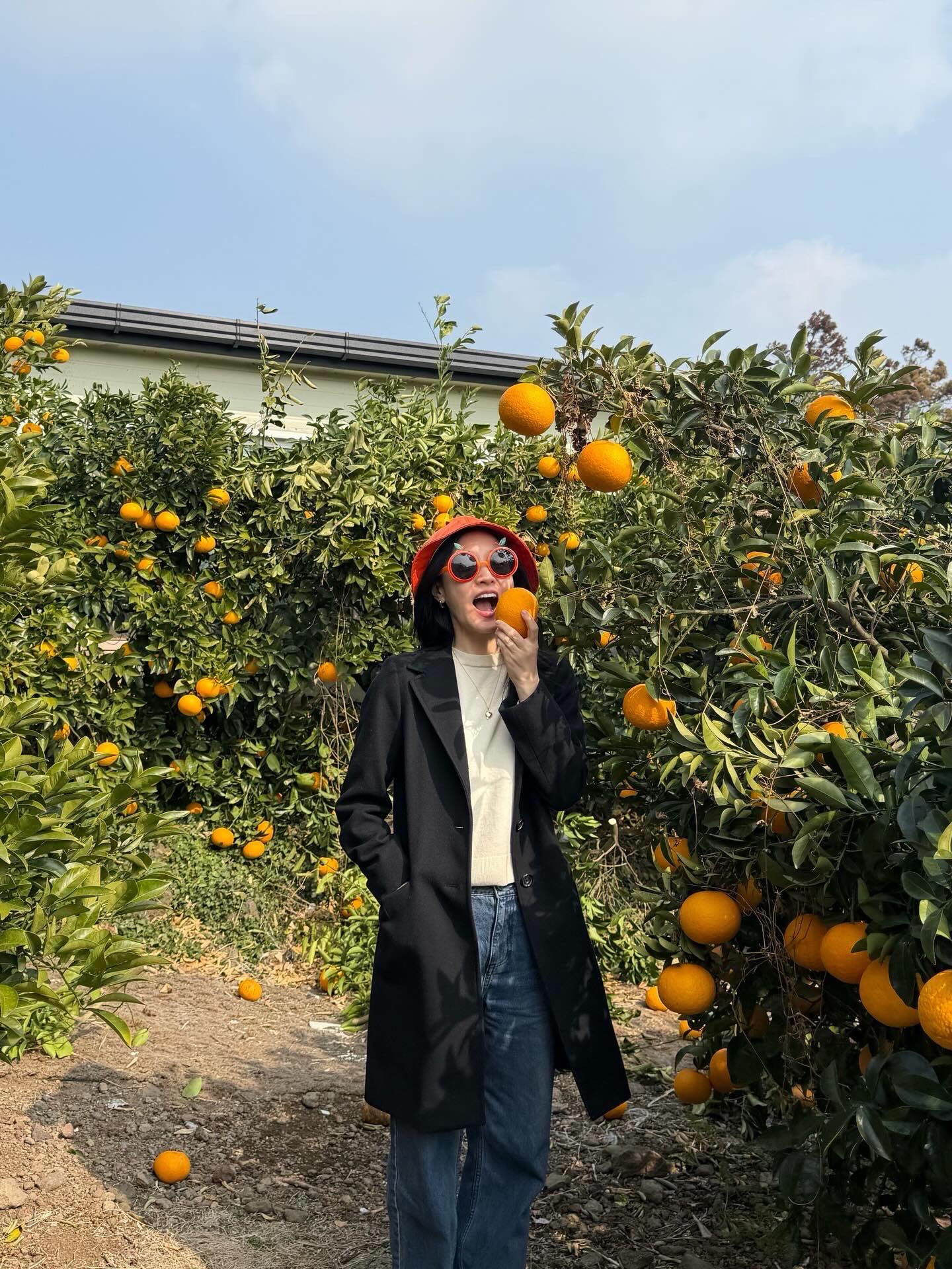 Tuyệt chi&ecirc;u dưỡng nhan của "Thi&ecirc;n nga bạc" xứ H&agrave;n: Rời Gangnam, mua h&agrave;ng trăm m&eacute;t vu&ocirc;ng n&uacute;i rừng để x&acirc;y dựng đế chế "n&ocirc;ng nghiệp xa xỉ"- Ảnh 3.