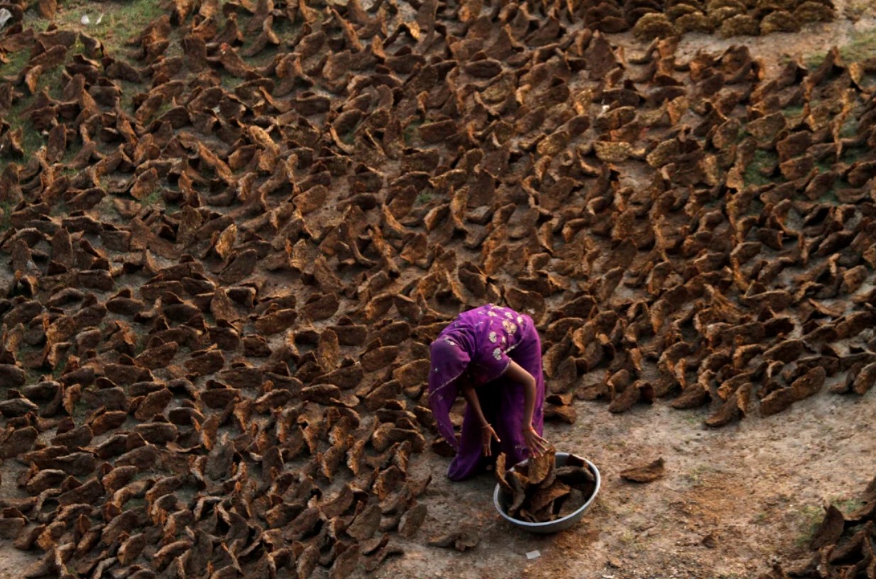 Cảnh tượng chưa từng thấy ở Ấn Độ: Khắp đường phố "xuyên không" về thời đồ đá, người dân phải dùng nguyên liệu thô sơ nhất để nấu ăn- Ảnh 4. Cảnh tượng chưa từng thấy ở Ấn Độ: Khắp đường phố "xuyên không" về thời đồ đá, người dân phải dùng nguyên liệu thô sơ nhất để nấu ăn- Ảnh 4.