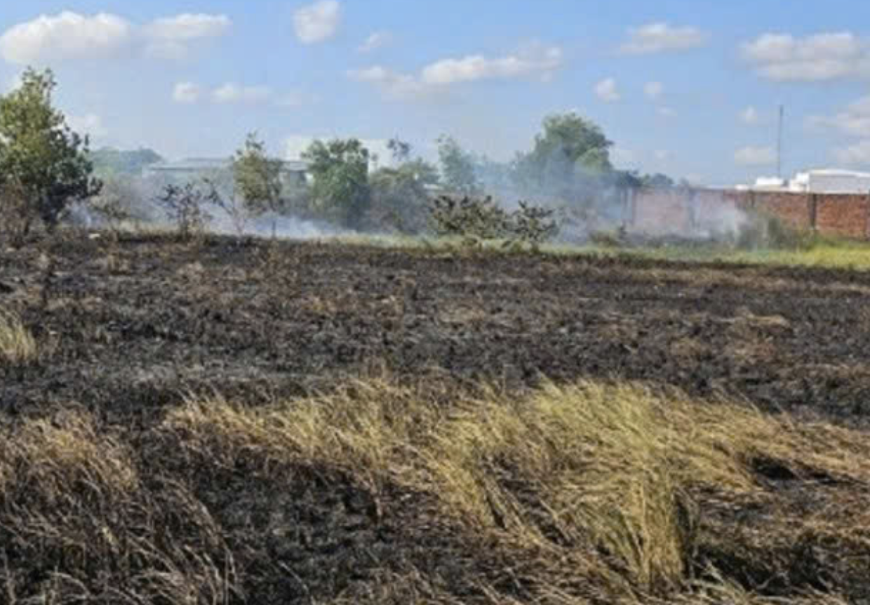 Chồng bàng hoàng phát hiện thi thể vợ trong đám cháy giữa đồng ở Cần Thơ- Ảnh 1. Chồng bàng hoàng phát hiện thi thể vợ trong đám cháy giữa đồng ở Cần Thơ- Ảnh 1.