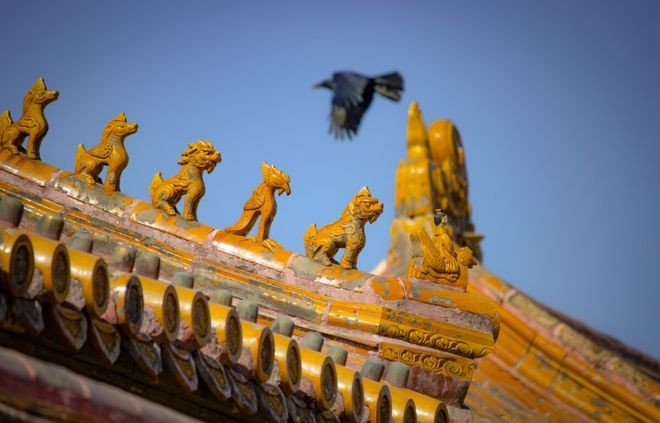 Cứ đ&ecirc;m đến quạ đen k&eacute;o k&iacute;n trời ở Tử Cấm Th&agrave;nh, sự thật khiến ai cũng rợn người - Ảnh 2.