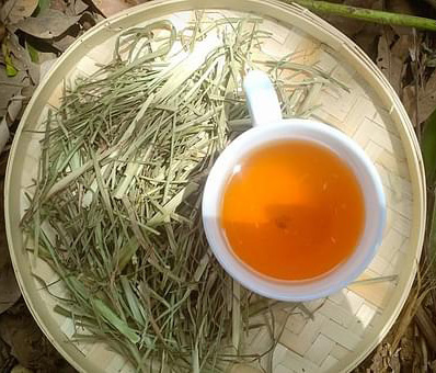 Cỏ mần trầu sắc nước uống.