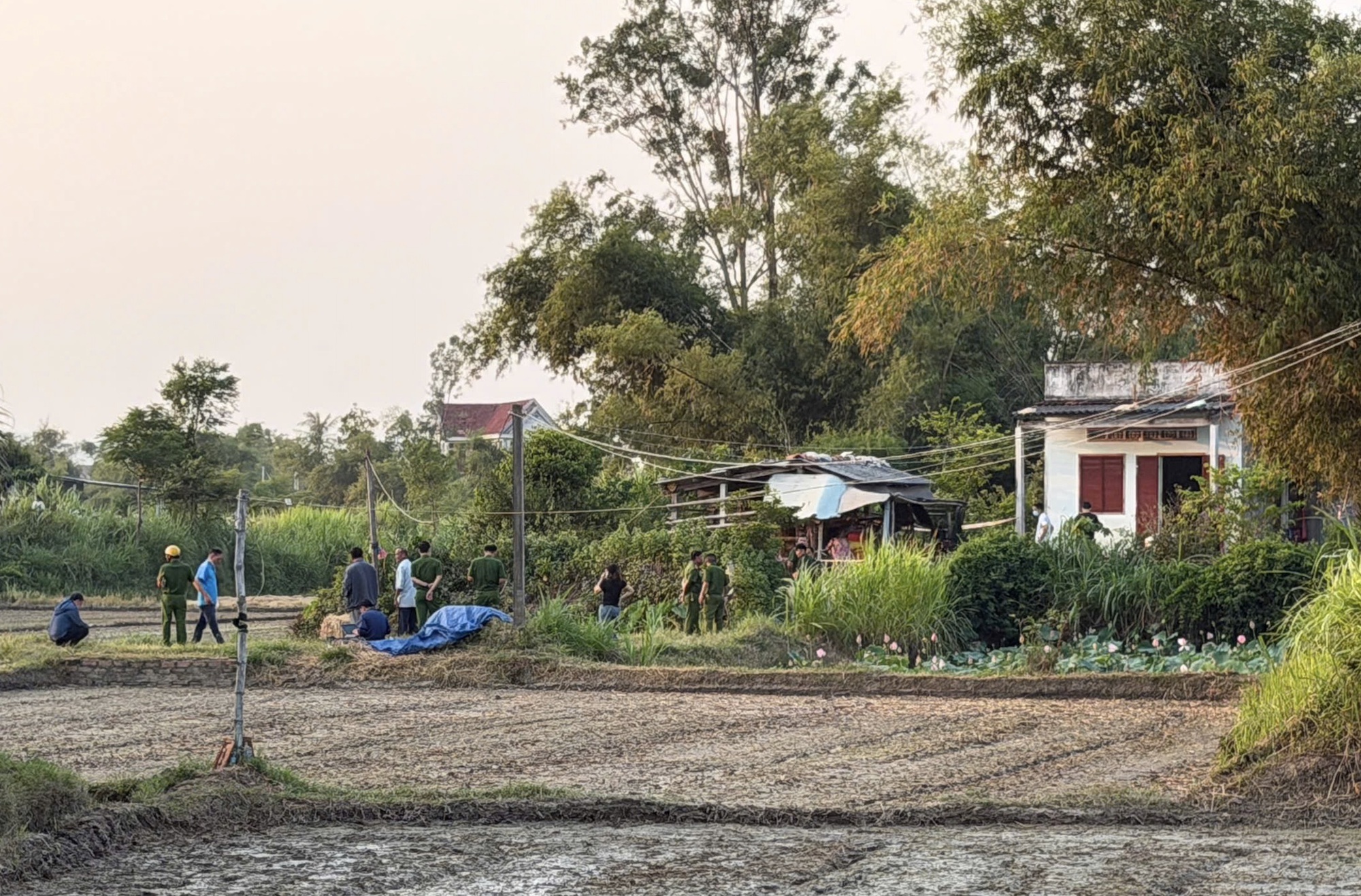 - Ảnh 1. - Ảnh 1.