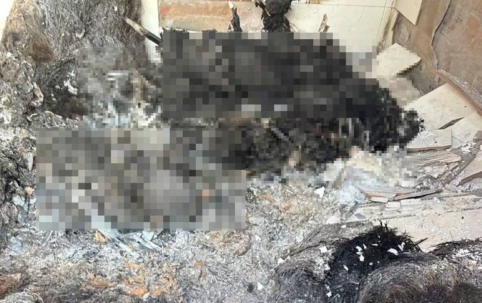 Vụ nhiều thi thể trong căn nh&agrave; cấp 4: X&aacute;c định danh t&iacute;nh nạn nh&acirc;n, c&oacute; 2 học sinh lớp 9- Ảnh 4.