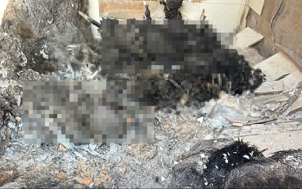 Vụ 4 người c&ugrave;ng gia đ&igrave;nh chết bất thường trong căn nh&agrave; ở Gia Lai: Hiện trường c&oacute; g&igrave; bất thường?- Ảnh 1.