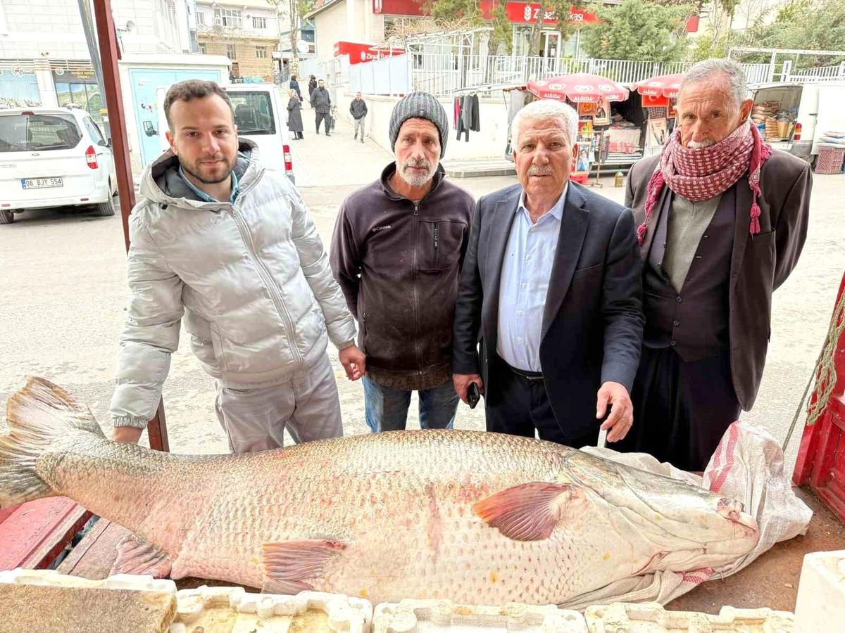 Ngư d&acirc;n bắt được con c&aacute; măng khổng lồ nặng 120kg - Ảnh 1.