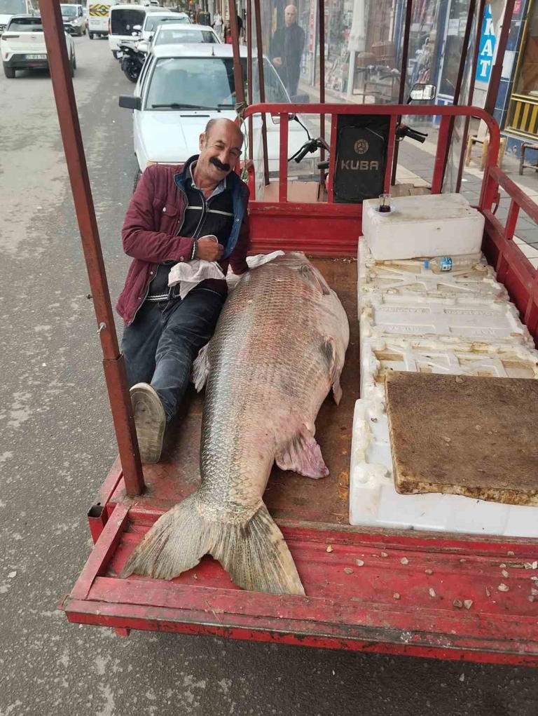 Ngư d&acirc;n bắt được con c&aacute; măng khổng lồ nặng 120kg - Ảnh 2.