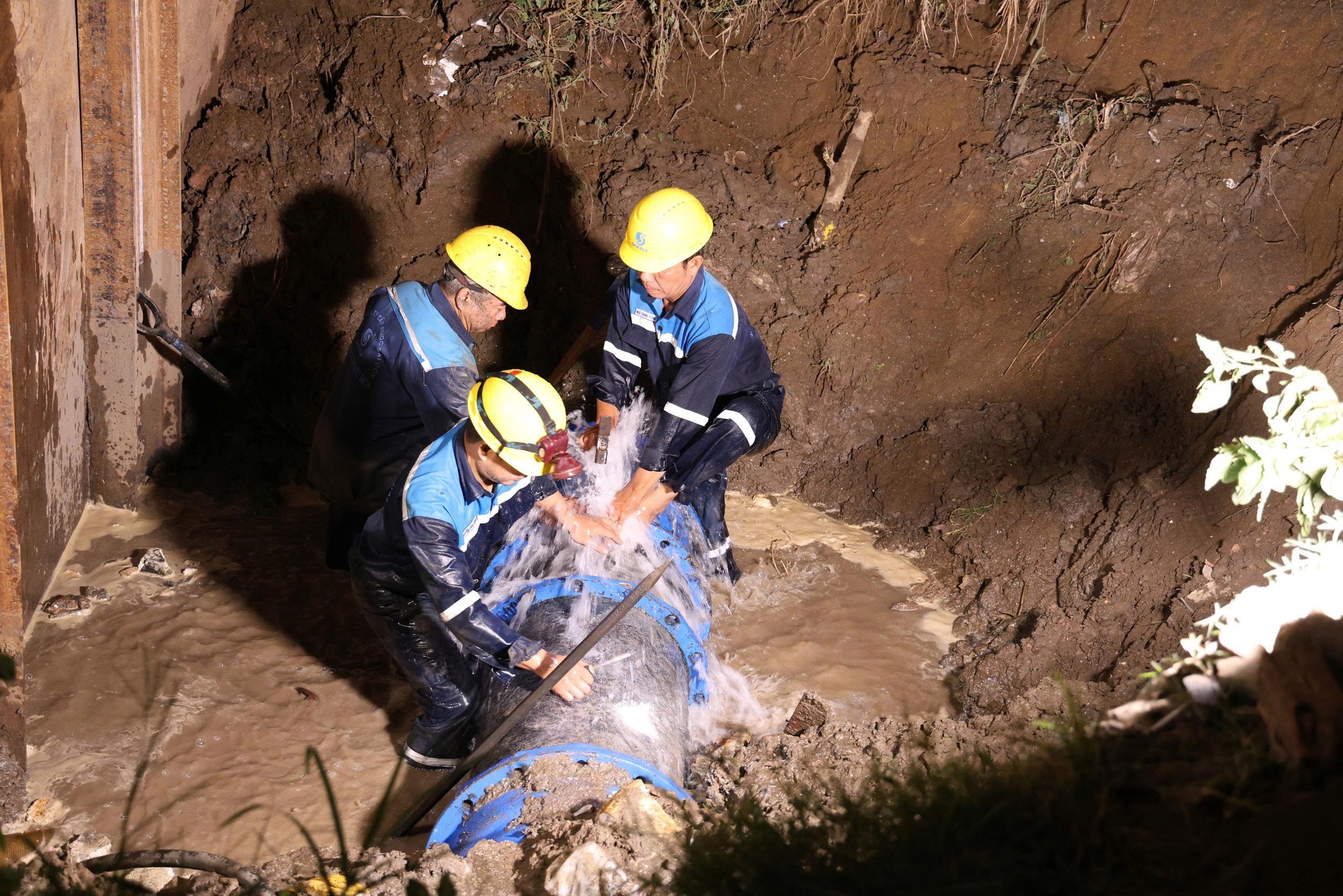 - Ảnh 1. - Ảnh 1.