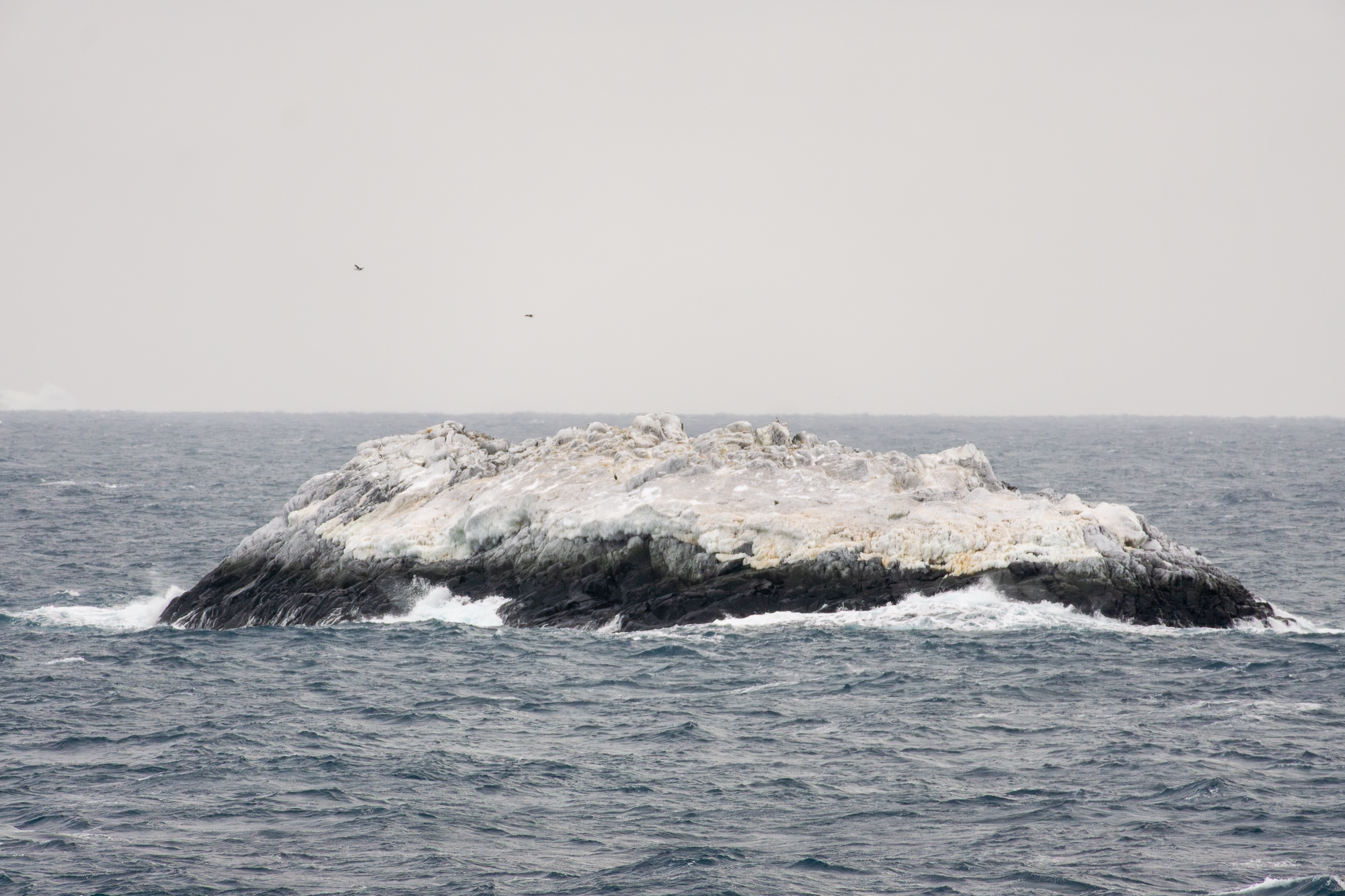 Ph&aacute;t hiện h&ograve;n đảo lạ tại Nam Cực - Ảnh 1.