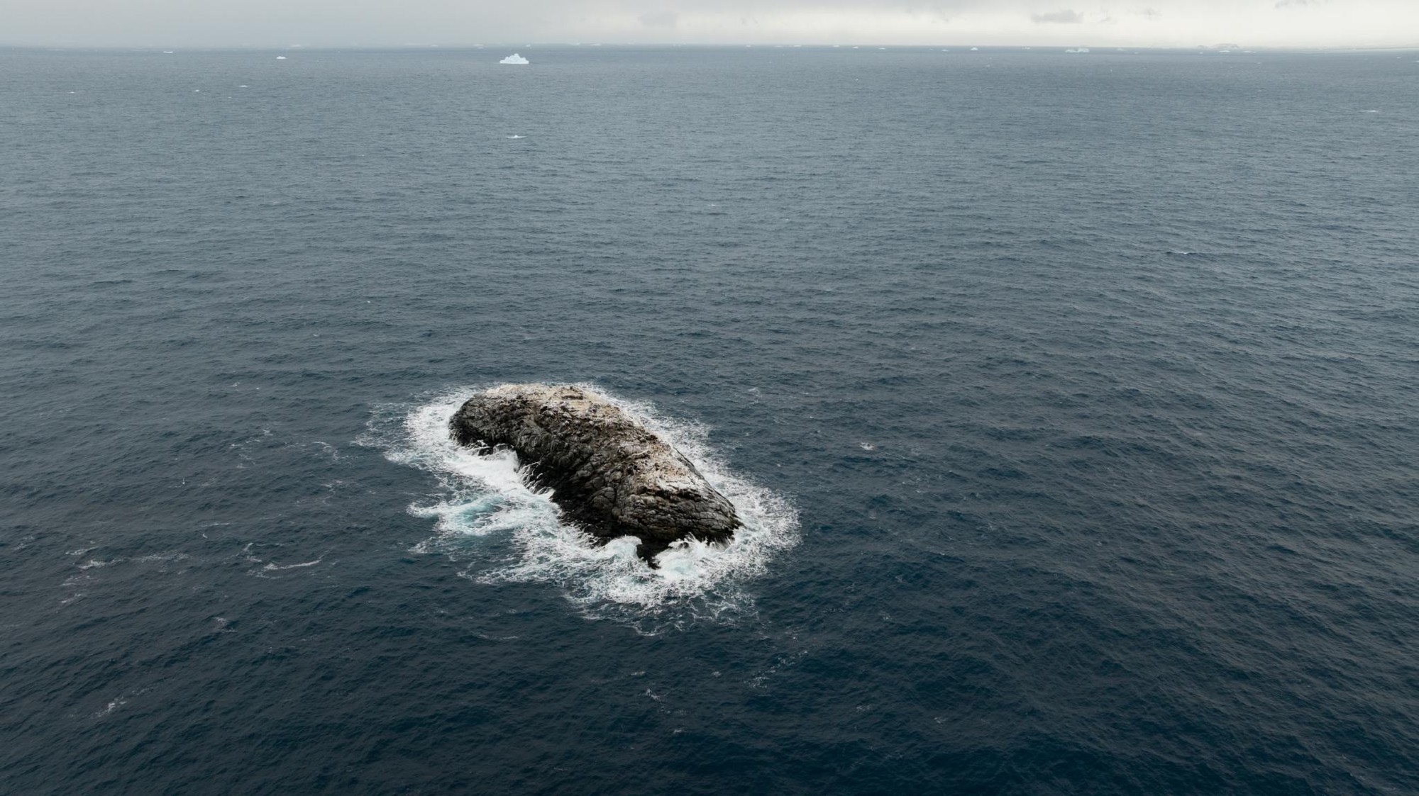 Ph&aacute;t hiện h&ograve;n đảo lạ tại Nam Cực - Ảnh 2.