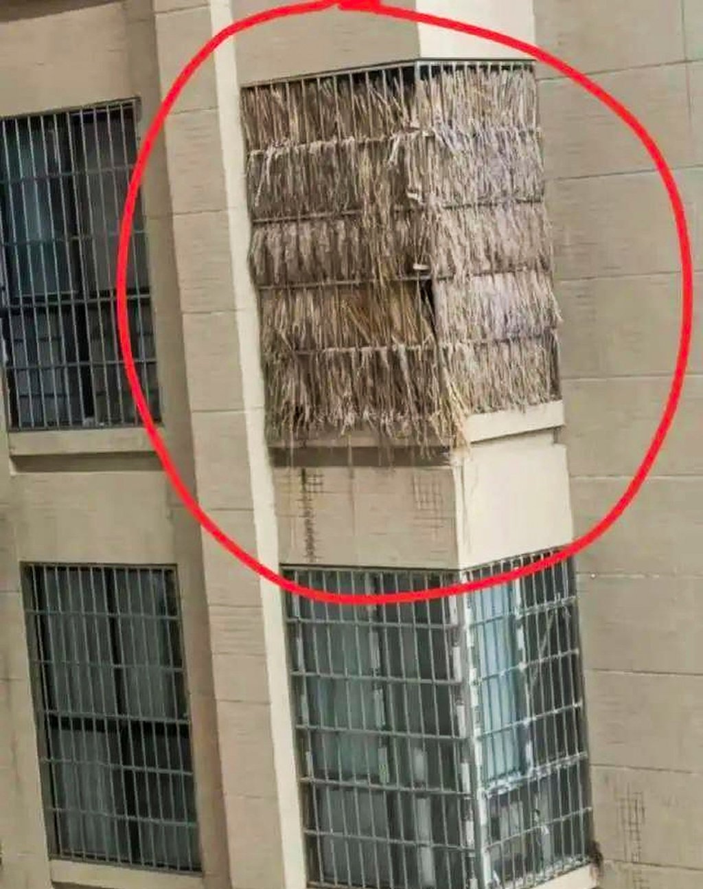 Người d&acirc;n Trung Quốc mua chung cư để tro cốt v&igrave; đất nghĩa trang đắt gấp 10 lần đất ở- Ảnh 3.