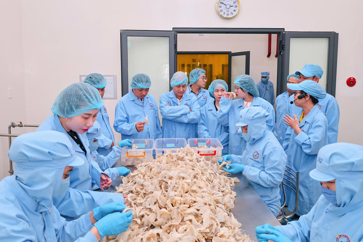 Đĩa cơm, t&ocirc; phở, ly c&agrave; ph&ecirc; l&ecirc;n mức gi&aacute; mới, gần 60% h&agrave;ng qu&aacute;n thừa nhận tăng gi&aacute;- Ảnh 2.