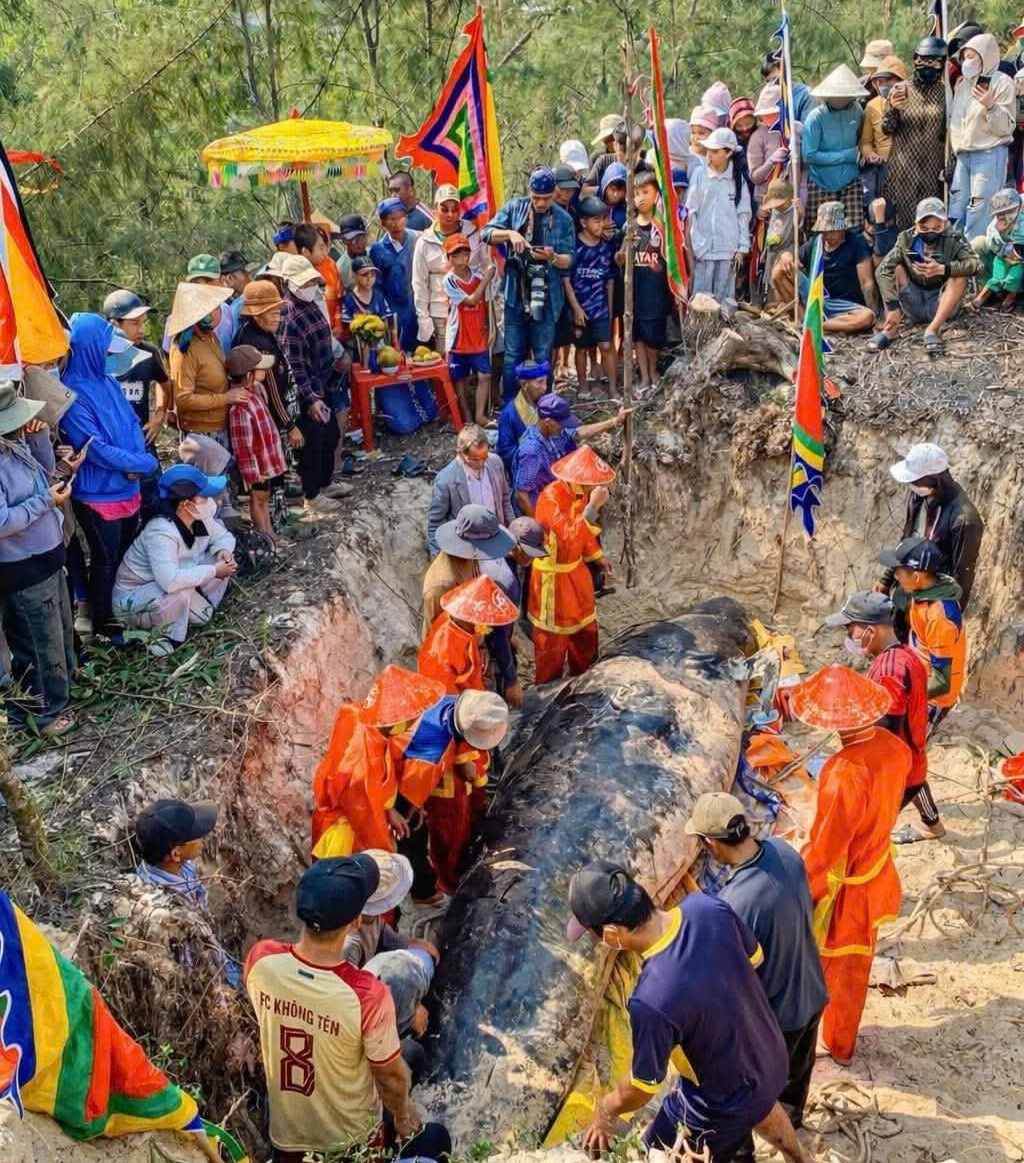 Cá heo dạt vào bờ biển Sông Cầu: Người dân chờ lễ chôn cất theo phong tục - Ảnh 2. Cá heo dạt vào bờ biển Sông Cầu: Người dân chờ lễ chôn cất theo phong tục - Ảnh 2.