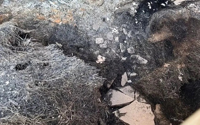 Vụ ph&aacute;t hiện nhiều thi thể trong căn nh&agrave; cấp 4: Nghi do b&agrave; ngoại tự s&aacute;t, h&eacute; lộ h&agrave;nh động trước đ&oacute; 2 ng&agrave;y- Ảnh 2.