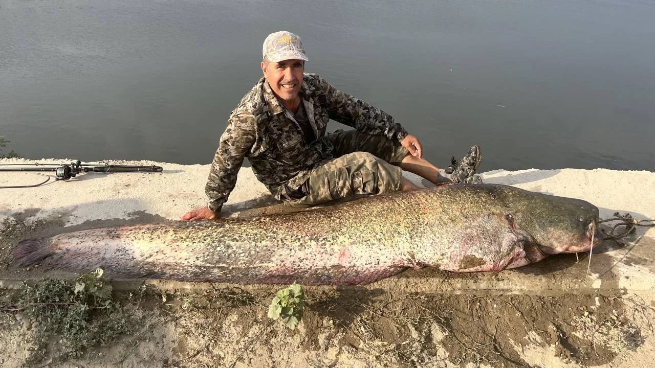 Ngư d&acirc;n c&acirc;u được con c&aacute; tr&ecirc; khổng lồ nặng 100kg tr&ecirc;n s&ocirc;ng- Ảnh 2.