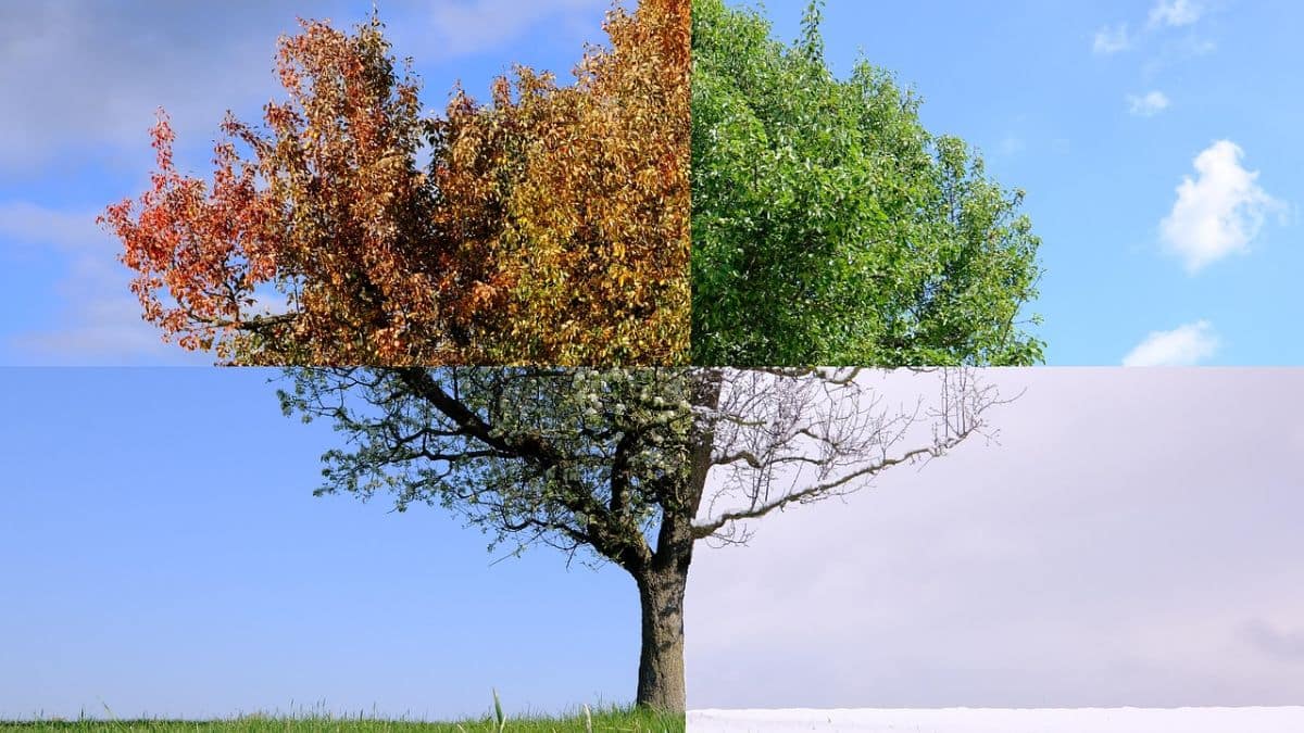 Lần đầu ti&ecirc;n, ch&uacute;ng ta đang kh&ocirc;ng ở trong m&ugrave;a n&agrave;o - Ảnh 1.