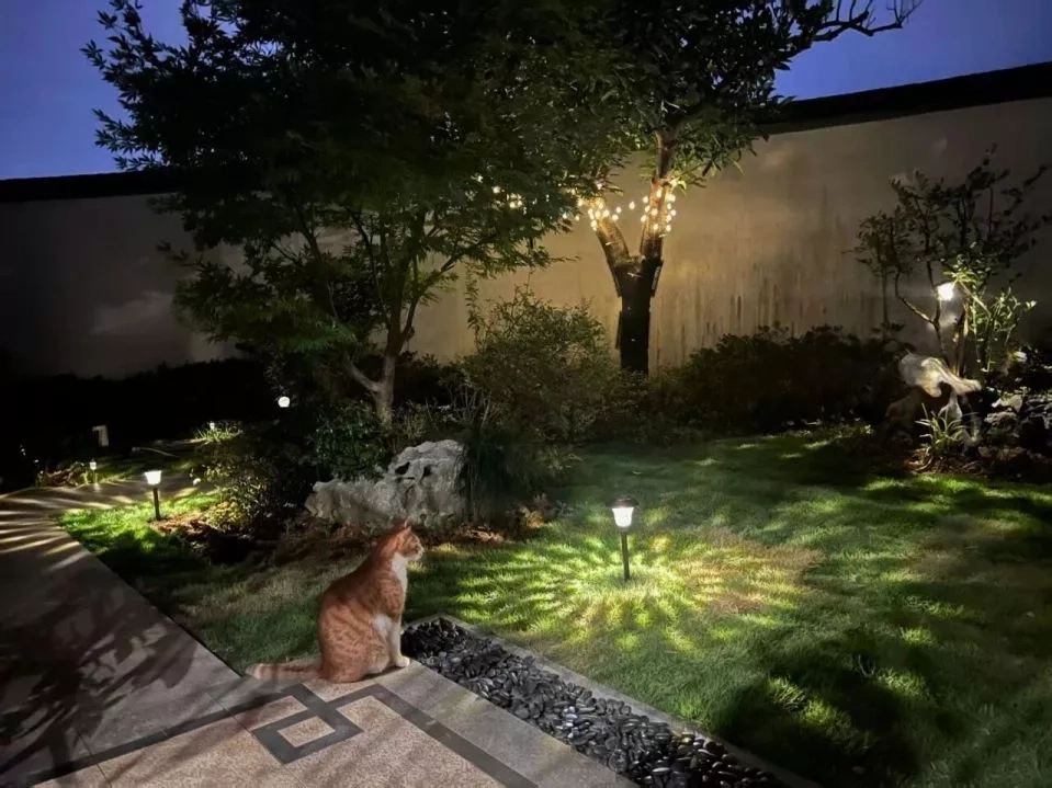 Cầm gần chục tỷ đồng, t&ocirc;i vẫn chọn ở nh&agrave; thu&ecirc;: &ldquo;Trả tiền thu&ecirc; 40 năm c&ograve;n lời hơn&hellip;&rdquo;- Ảnh 2.