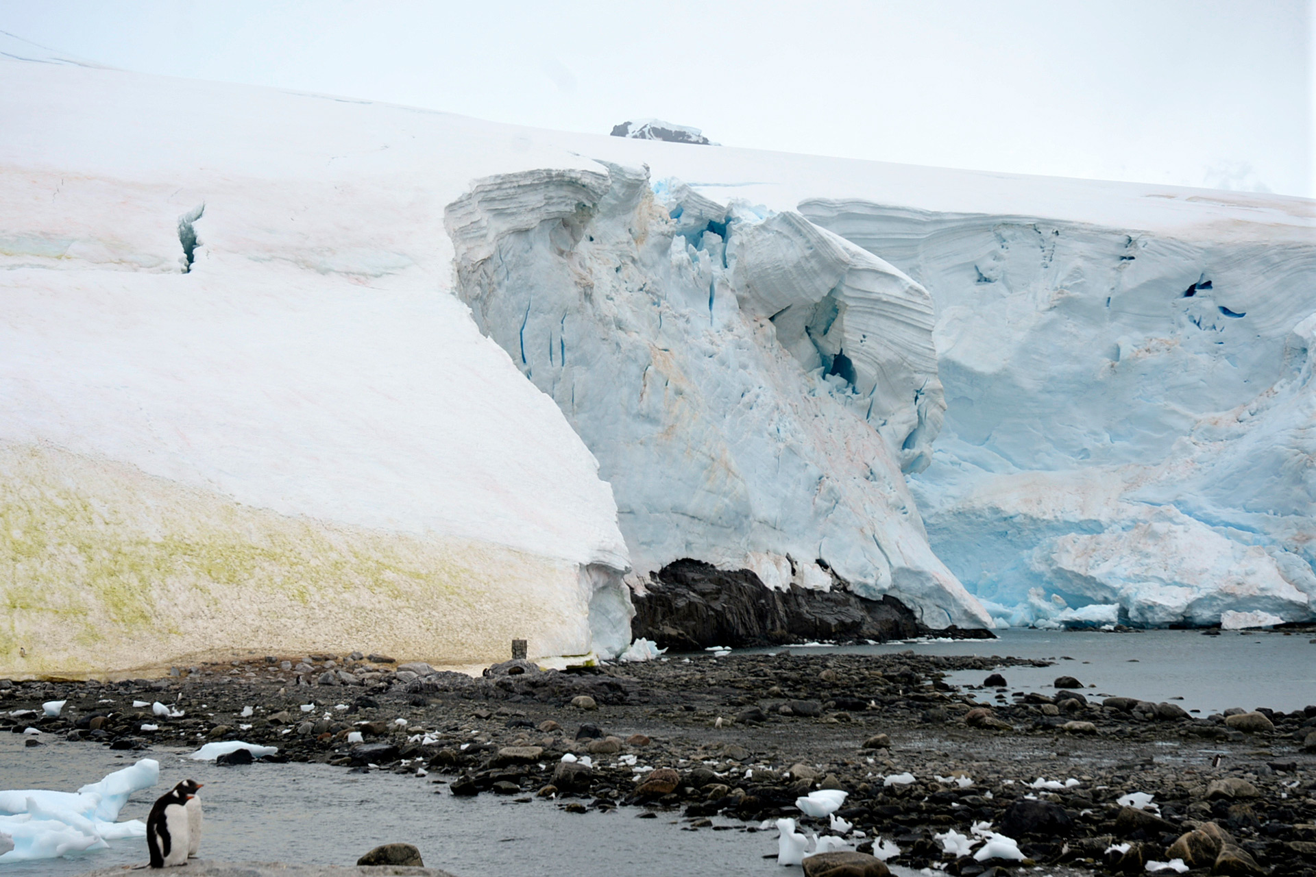 Thế giới sắp vĩnh viễn mất đi 1 m&agrave;u sắc - Ảnh 1.