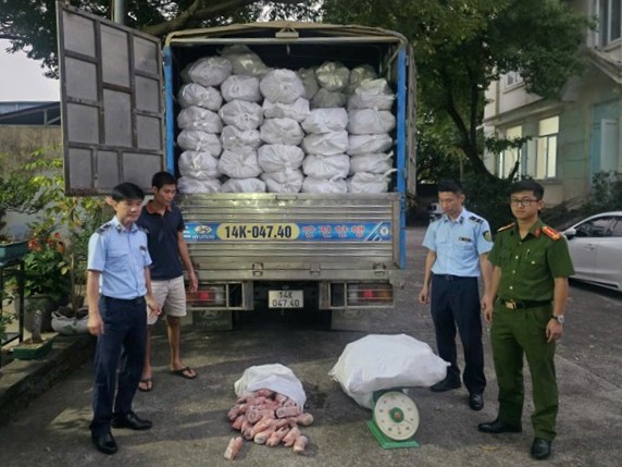 Kinh hoàng phát hiện 12,24 tấn chân lợn đông lạnh bốc mùi hôi thối: Chủ kho hàng SN 1993 khai gì?- Ảnh 1. Kinh hoàng phát hiện 12,24 tấn chân lợn đông lạnh bốc mùi hôi thối: Chủ kho hàng SN 1993 khai gì?- Ảnh 1.