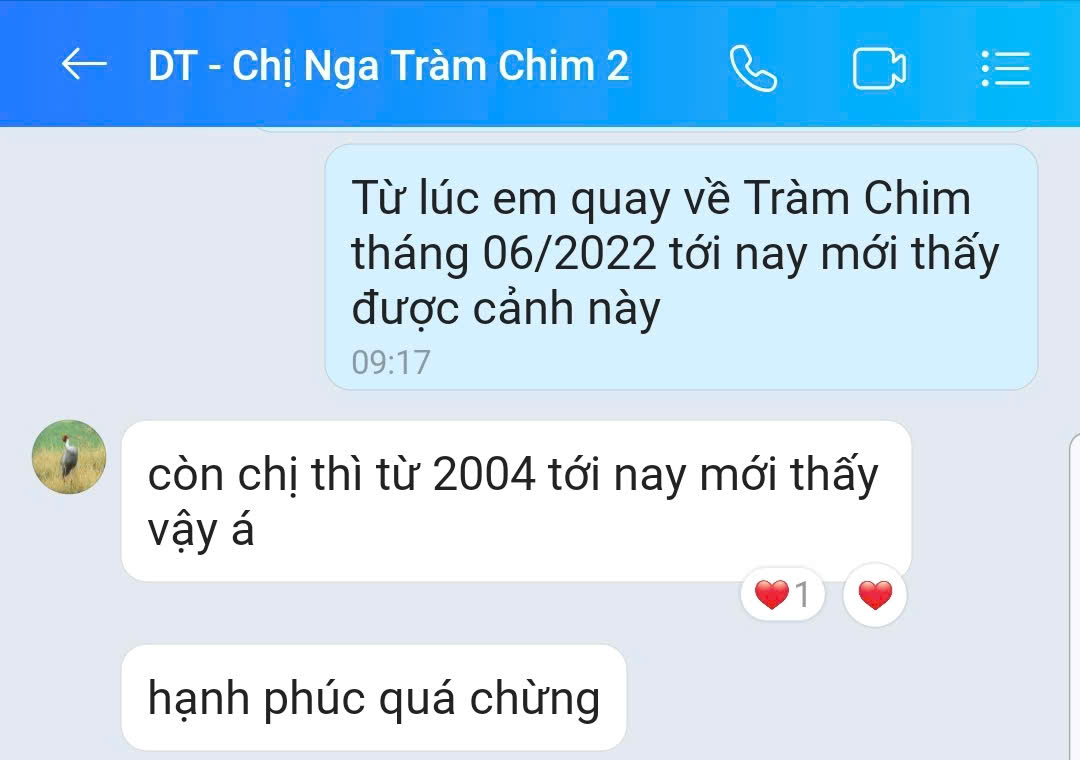 Hiện tượng lạ: H&agrave;ng ng&agrave;n chim hoang d&atilde; &ugrave;n &ugrave;n k&eacute;o về, che k&iacute;n bầu trời Vườn Quốc gia sau 20 năm - Ảnh 1.