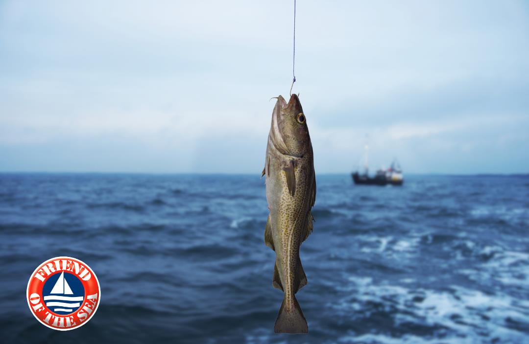 B&iacute; quyết bổ sung Omega-3 đ&uacute;ng chuẩn vừa tươi vừa tốt để tăng cường sức khoẻ - Ảnh 1.