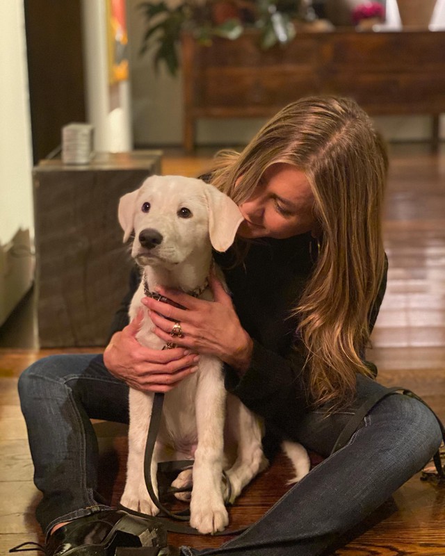 B&iacute; quyết "t&agrave;ng h&igrave;nh" tuổi t&aacute;c của "thi&ecirc;n nga bạc" Jennifer Aniston: 90 ph&uacute;t kh&ocirc;ng mạng x&atilde; hội, kh&ocirc;ng điện thoại, kh&ocirc;ng email- Ảnh 4.