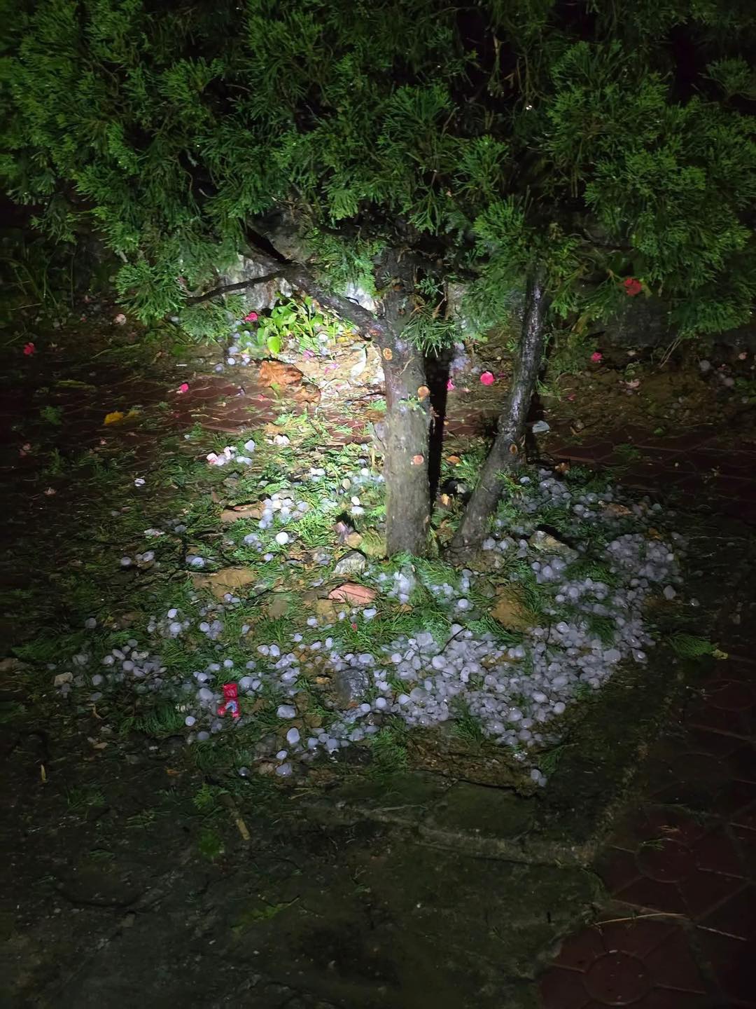 1 tỉnh xuất hiện mưa đ&aacute; to như nắm tay, dội xuống ầm ầm trong đ&ecirc;m- Ảnh 6.