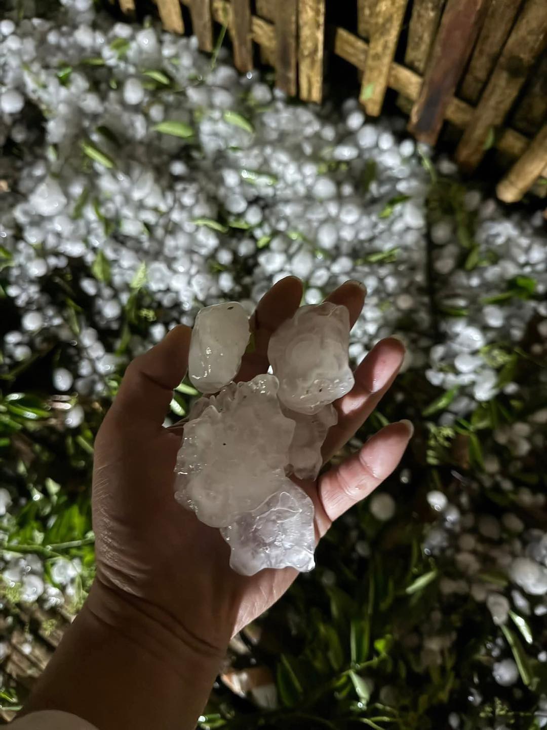 1 tỉnh xuất hiện mưa đ&aacute; to như nắm tay, dội xuống ầm ầm trong đ&ecirc;m- Ảnh 7.