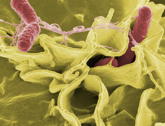 Tất cả bệnh nhi nhập viện nội tr&uacute; do nghi ngộ độc hiện ra sao? - Ảnh 1.