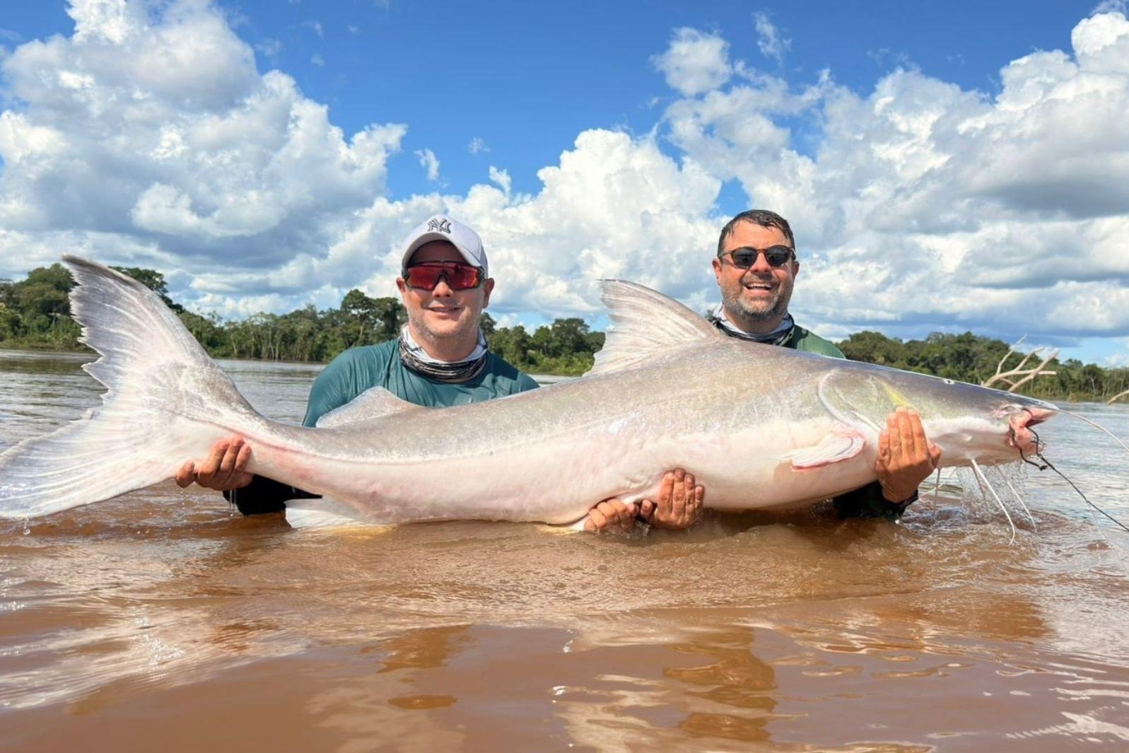 Hai anh em c&acirc;u được con c&aacute; khổng lồ nặng 100kg, d&agrave;i 2 m&eacute;t - Ảnh 1.