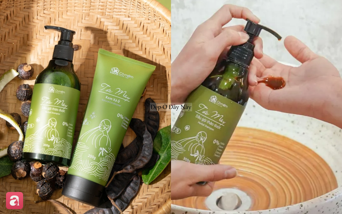 5 dầu gội bồ kết "made in Vietnam" gi&uacute;p t&oacute;c chắc khỏe v&agrave; đen nh&aacute;nh kh&ocirc;ng cần nhuộm - Ảnh 6.
