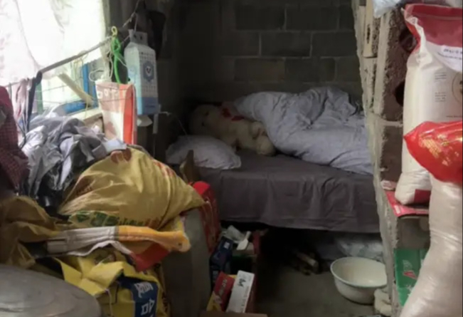 Điểm bất thường tr&ecirc;n chiếc giường tố c&aacute;o 1 gia đ&igrave;nh m&eacute;o m&oacute;: Vết sẹo kh&oacute; l&agrave;nh!- Ảnh 1.