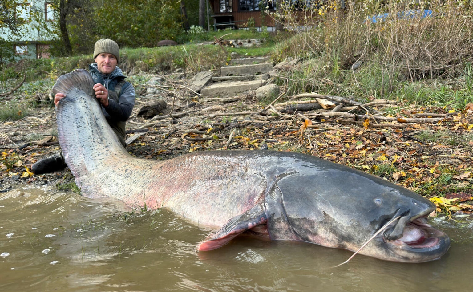 Ngư d&acirc;n c&acirc;u được con c&aacute; tr&ecirc; khổng lồ d&agrave;i 2,5 m&eacute;t tr&ecirc;n s&ocirc;ng- Ảnh 1.