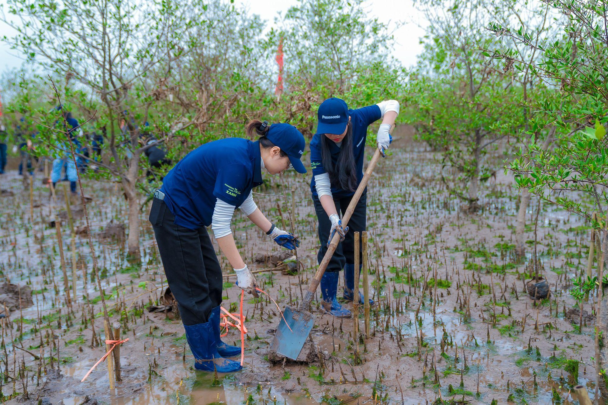 Panasonic v&agrave; h&agrave;nh tr&igrave;nh gieo mầm ph&aacute;t triển bền vững, trao quyền cho thế hệ tương lai - Ảnh 4.