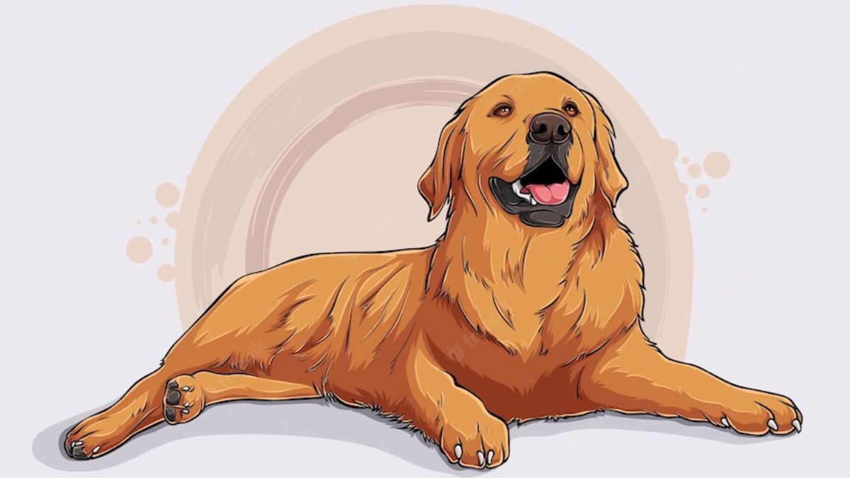 Chuy&ecirc;n gia dự b&aacute;o: Từ nay đến trước Tết 2027, 3 tuổi n&agrave;y dễ chốt mua nh&agrave;, t&agrave;i ch&iacute;nh dần ổn định hơn- Ảnh 3.