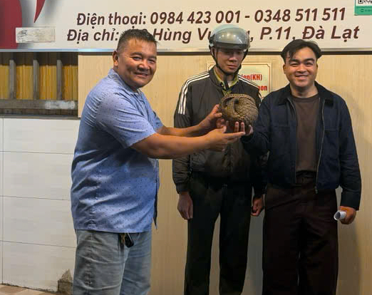 Thấy t&ecirc; t&ecirc; qu&yacute; hiếm b&ograve; v&agrave;o qu&aacute;n nhậu ở Đ&agrave; Lạt, chủ qu&aacute;n gọi b&aacute;o kiểm l&acirc;m- Ảnh 1.