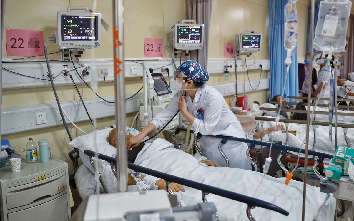 3 loại rau "bổ như s&acirc;m", n&ecirc;n trồng trong nh&agrave; ngay - Ảnh 2.