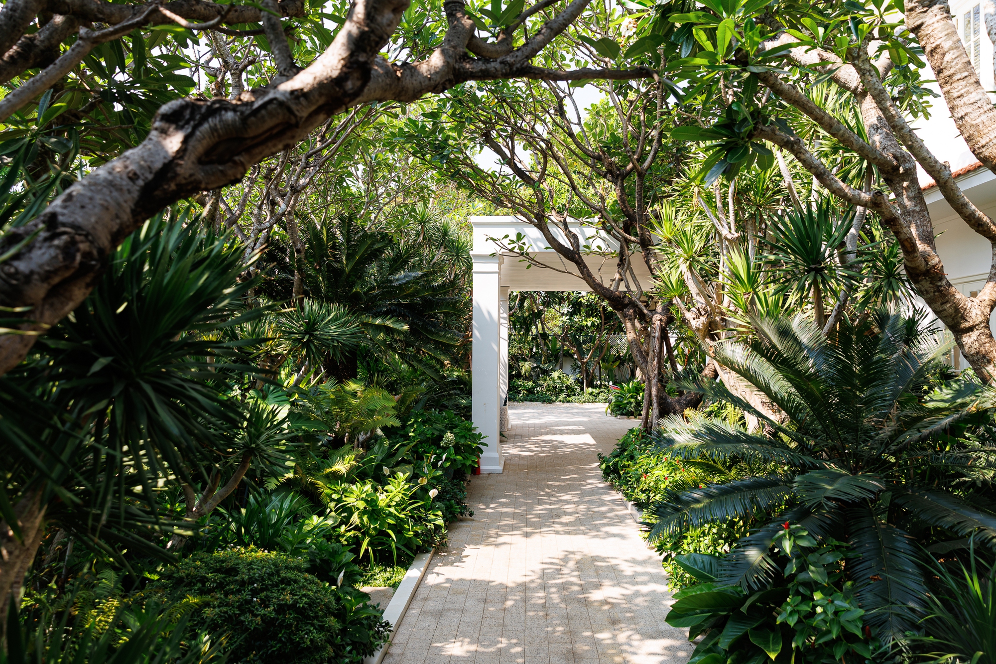 Nh&agrave; thiết kế Đỗ Mạnh Cường: "Nếu kh&ocirc;ng gi&agrave;u, t&ocirc;i kh&ocirc;ng d&aacute;m nhận 10 con nu&ocirc;i"- Ảnh 2.