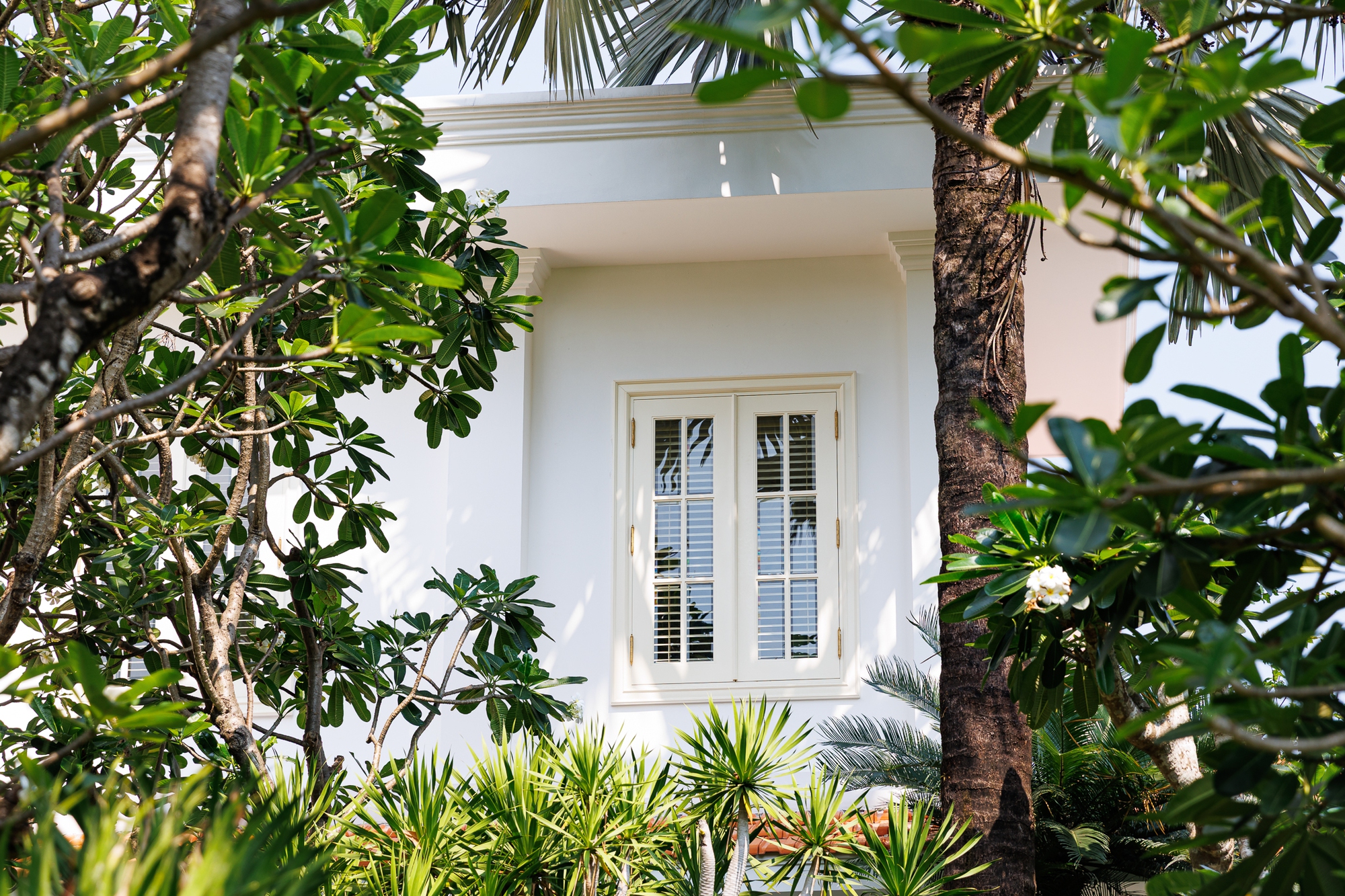 Nh&agrave; thiết kế Đỗ Mạnh Cường: "Nếu kh&ocirc;ng gi&agrave;u, t&ocirc;i kh&ocirc;ng d&aacute;m nhận 10 con nu&ocirc;i"- Ảnh 4.