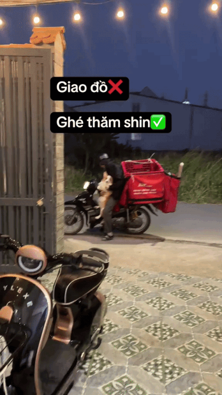 2h chiều kh&aacute;ch đang ngủ trưa, shipper bị camera an ninh&nbsp;ghi lại chuỗi hoạt động &acirc;m thầm- Ảnh 6.