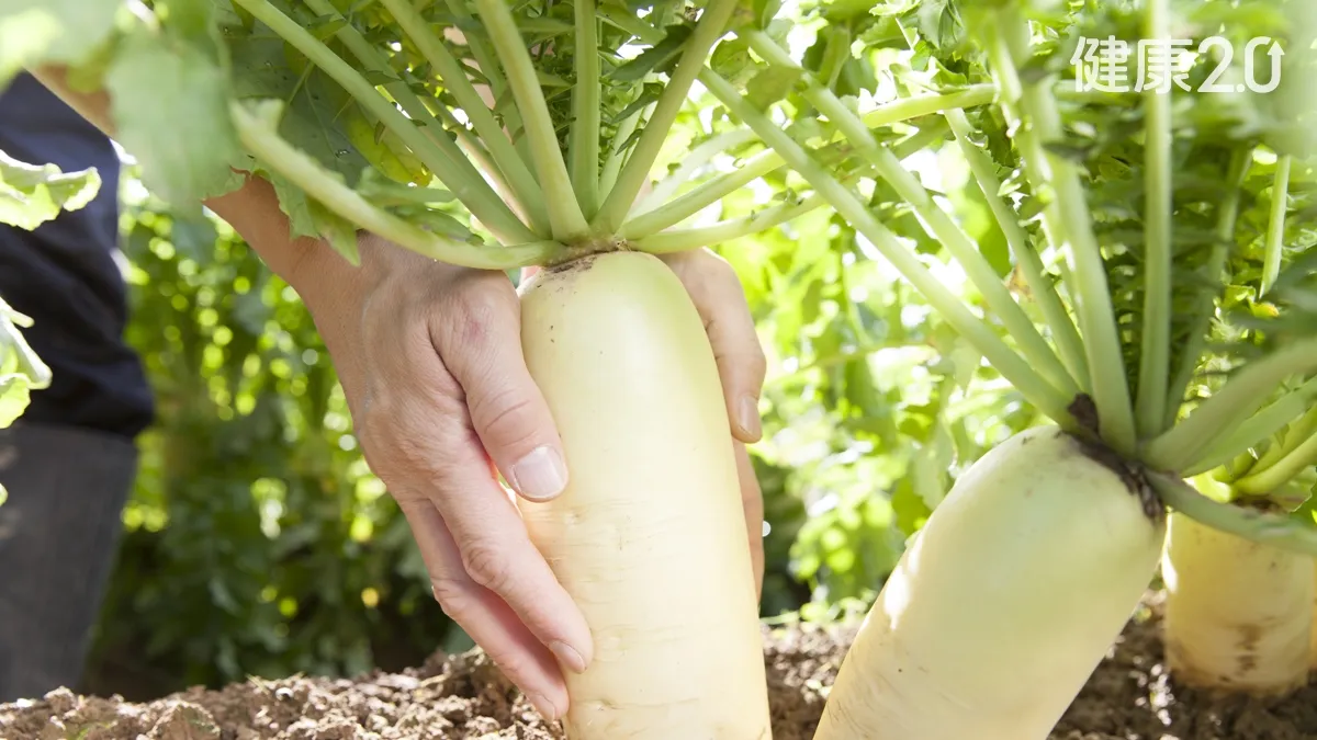 Một gia đ&igrave;nh 3 người đều mắc ung thư dạ d&agrave;y chỉ v&igrave; m&oacute;n ăn n&agrave;y: B&aacute;c sĩ chỉ ra 5 th&oacute;i quen xấu g&acirc;y chết người- Ảnh 2.