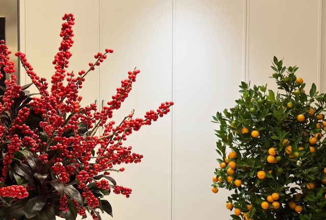 Hoa hậu Việt đầu ti&ecirc;n l&agrave;m d&acirc;u h&agrave;o m&ocirc;n, l&ecirc;n xe hoa năm 26 tuổi: Sở hữu loạt BĐS hạng sang, sống như tiểu thư đời thực- Ảnh 11.